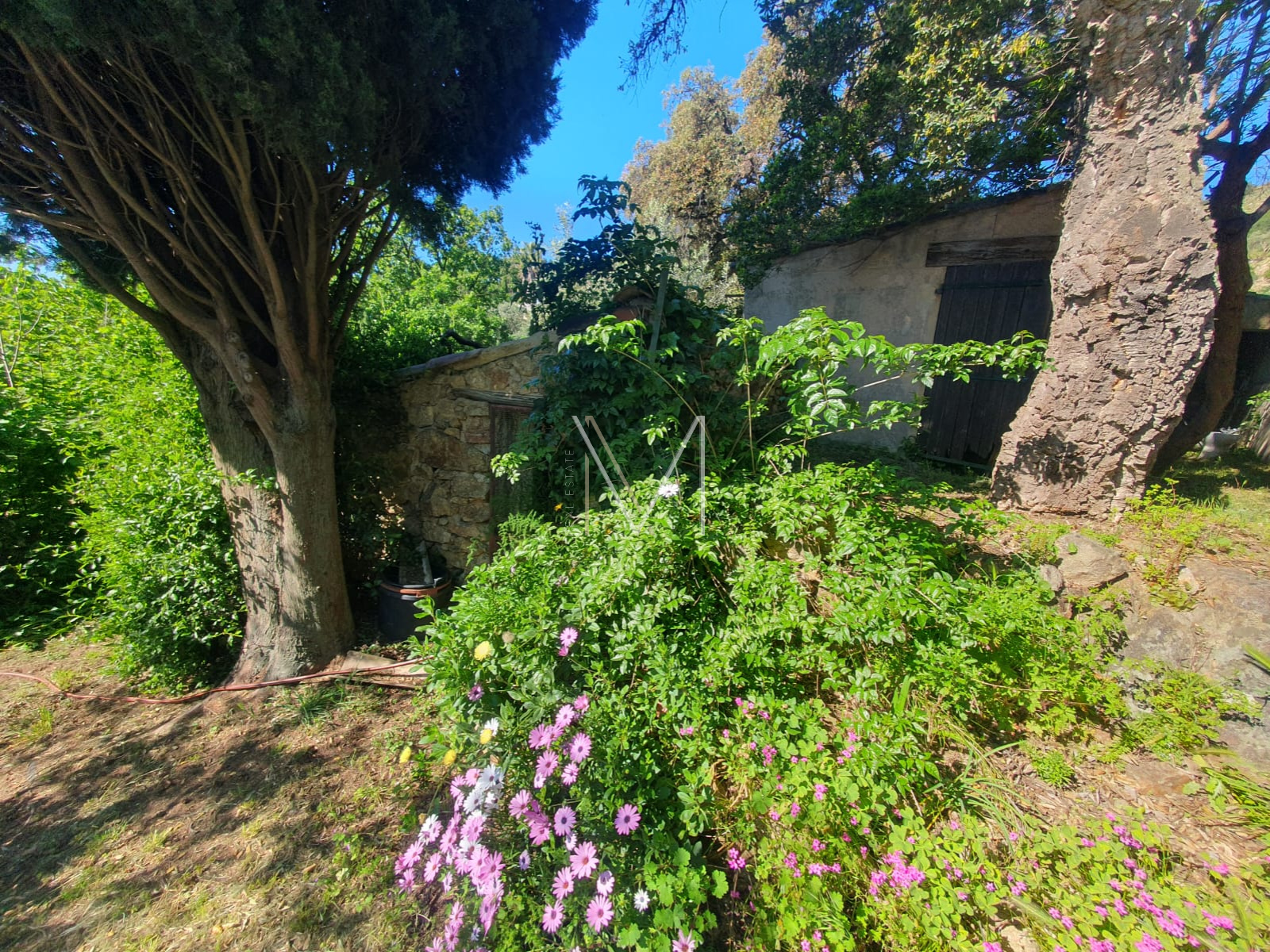 Image_17, Maison, Le Plan-de-la-Tour, ref :VMA50000685