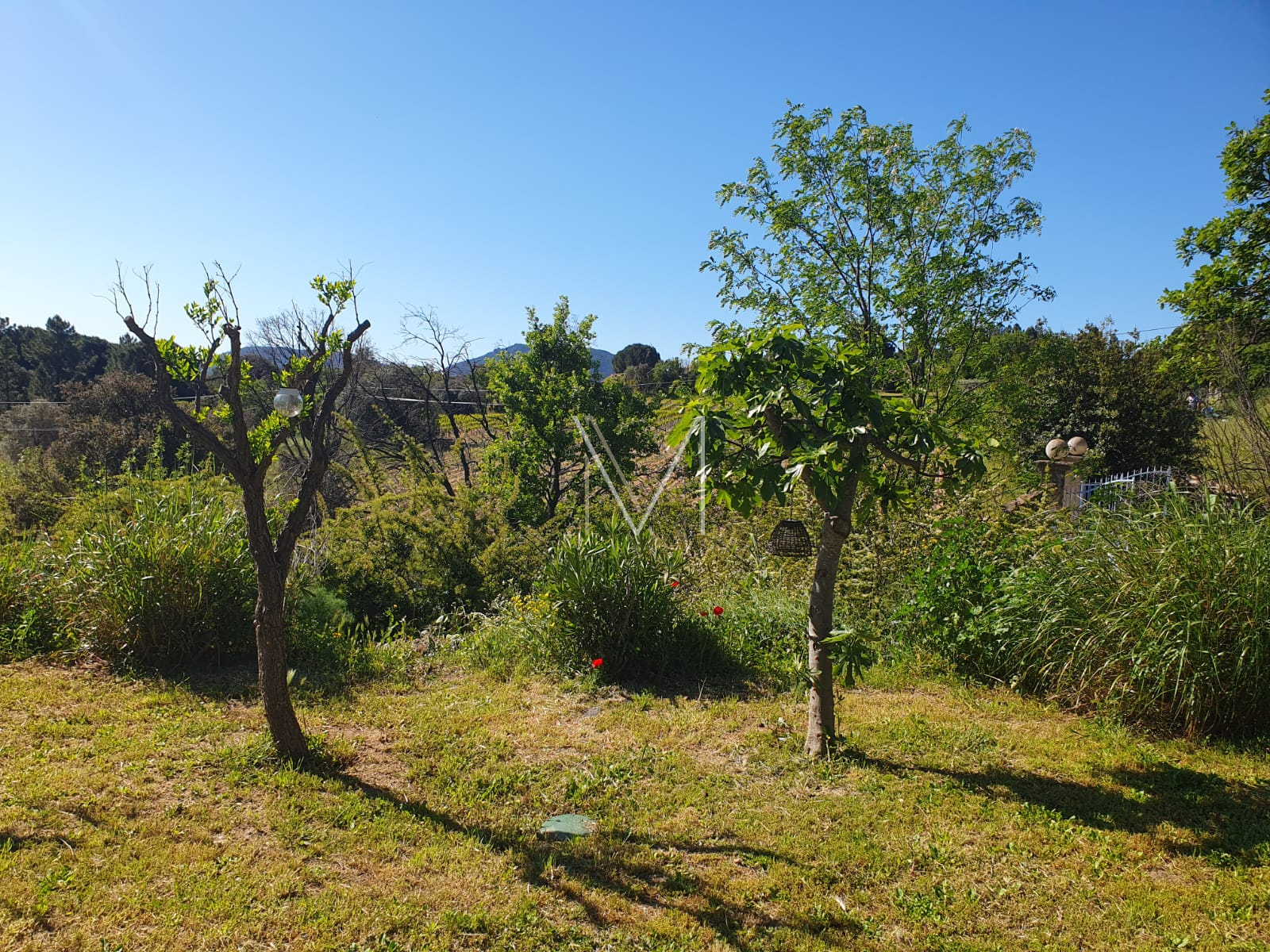 Image_22, Maison, Le Plan-de-la-Tour, ref :VMA50000685
