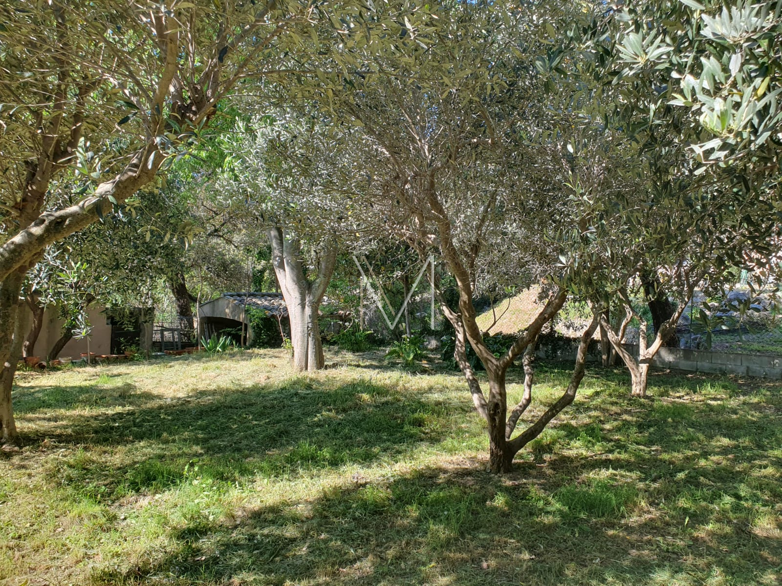 Image_24, Maison, Le Plan-de-la-Tour, ref :VMA50000685