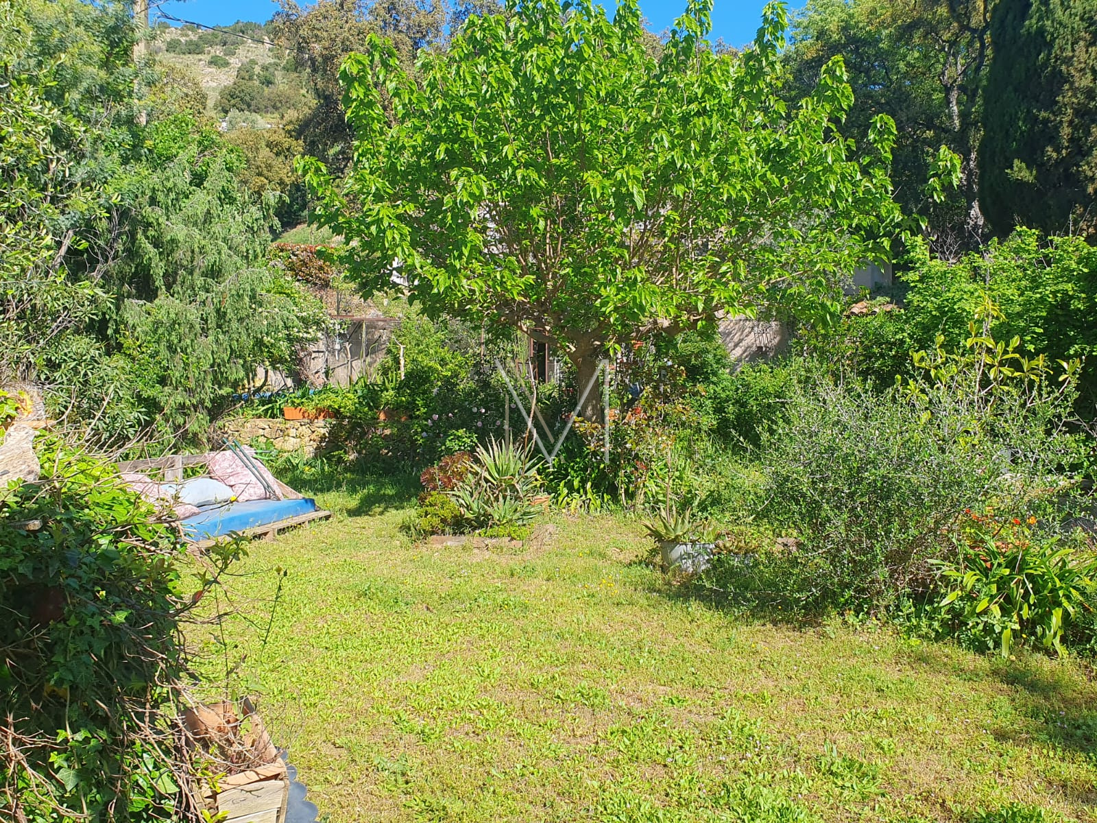 Image_6, Maison, Le Plan-de-la-Tour, ref :VMA50000685