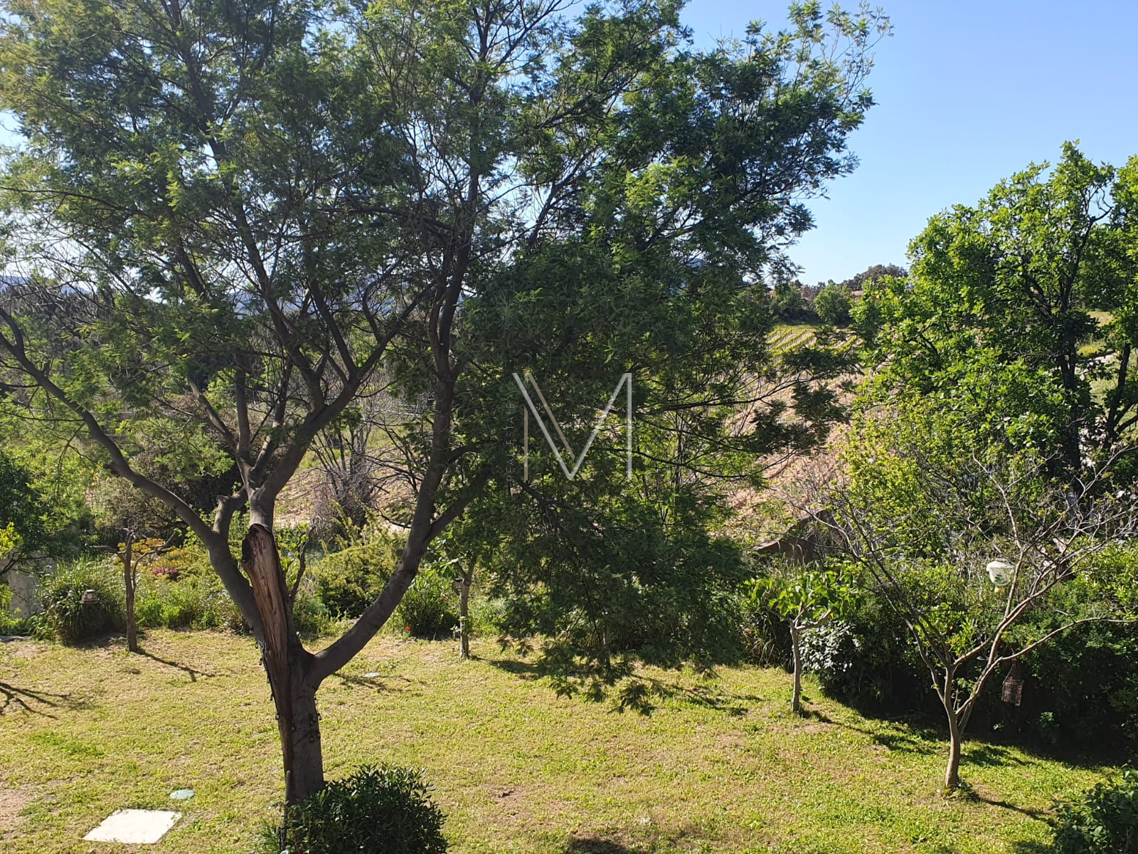 Image_18, Maison, Le Plan-de-la-Tour, ref :VMA50000685