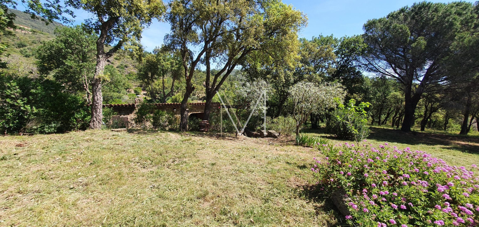 Image_6, Propriete, Le Plan-de-la-Tour, ref :VPR10000230