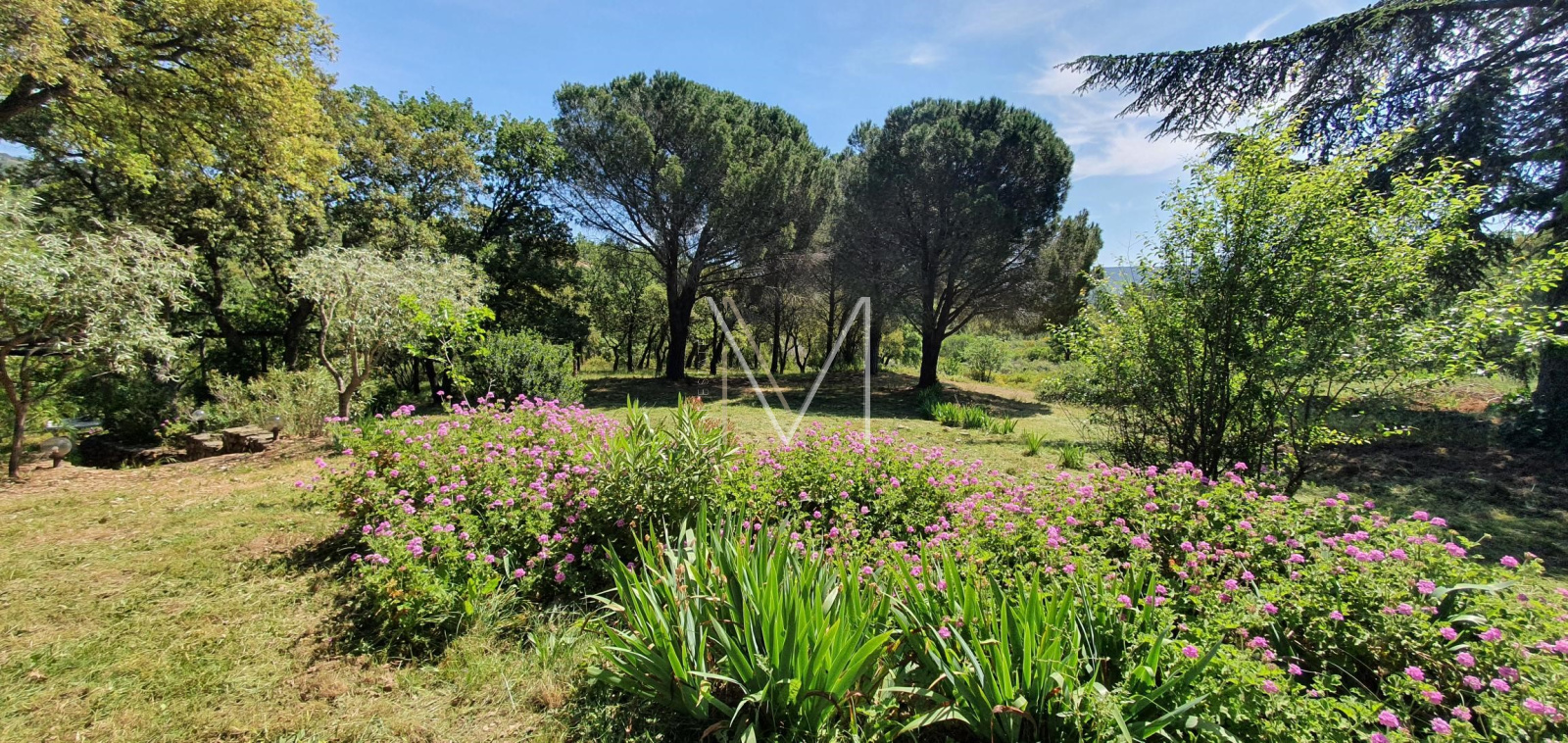 Image_8, Propriete, Le Plan-de-la-Tour, ref :VPR10000230