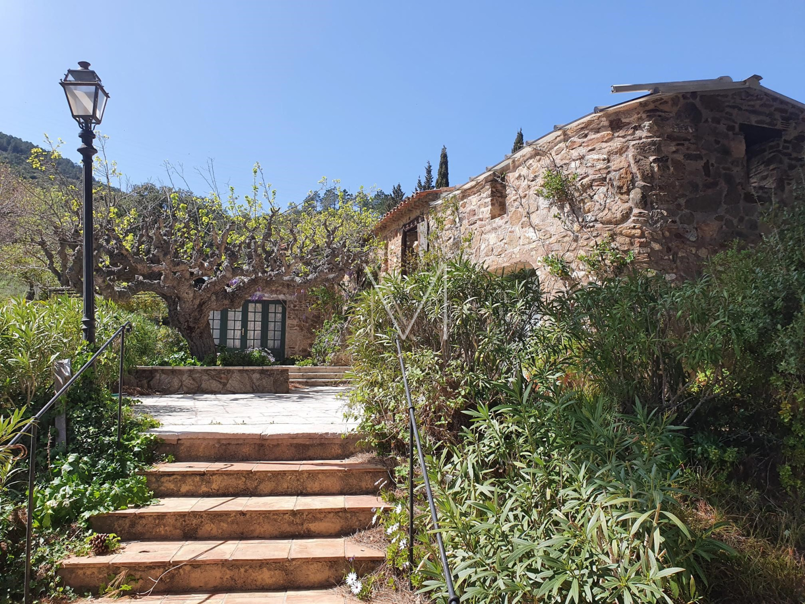 Image_5, Propriete, Le Plan-de-la-Tour, ref :VPR10000230