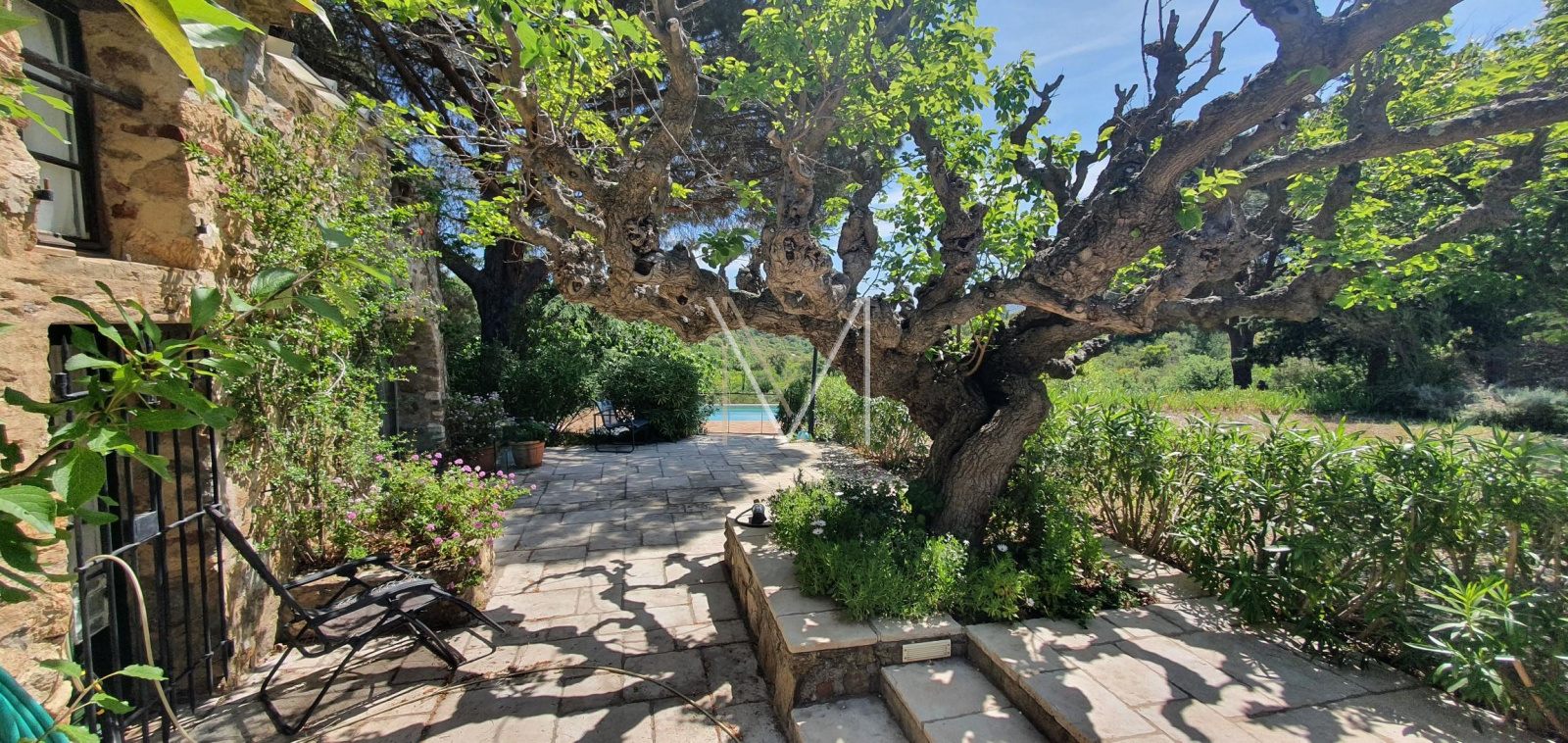 Image_3, Propriete, Le Plan-de-la-Tour, ref :VPR10000230