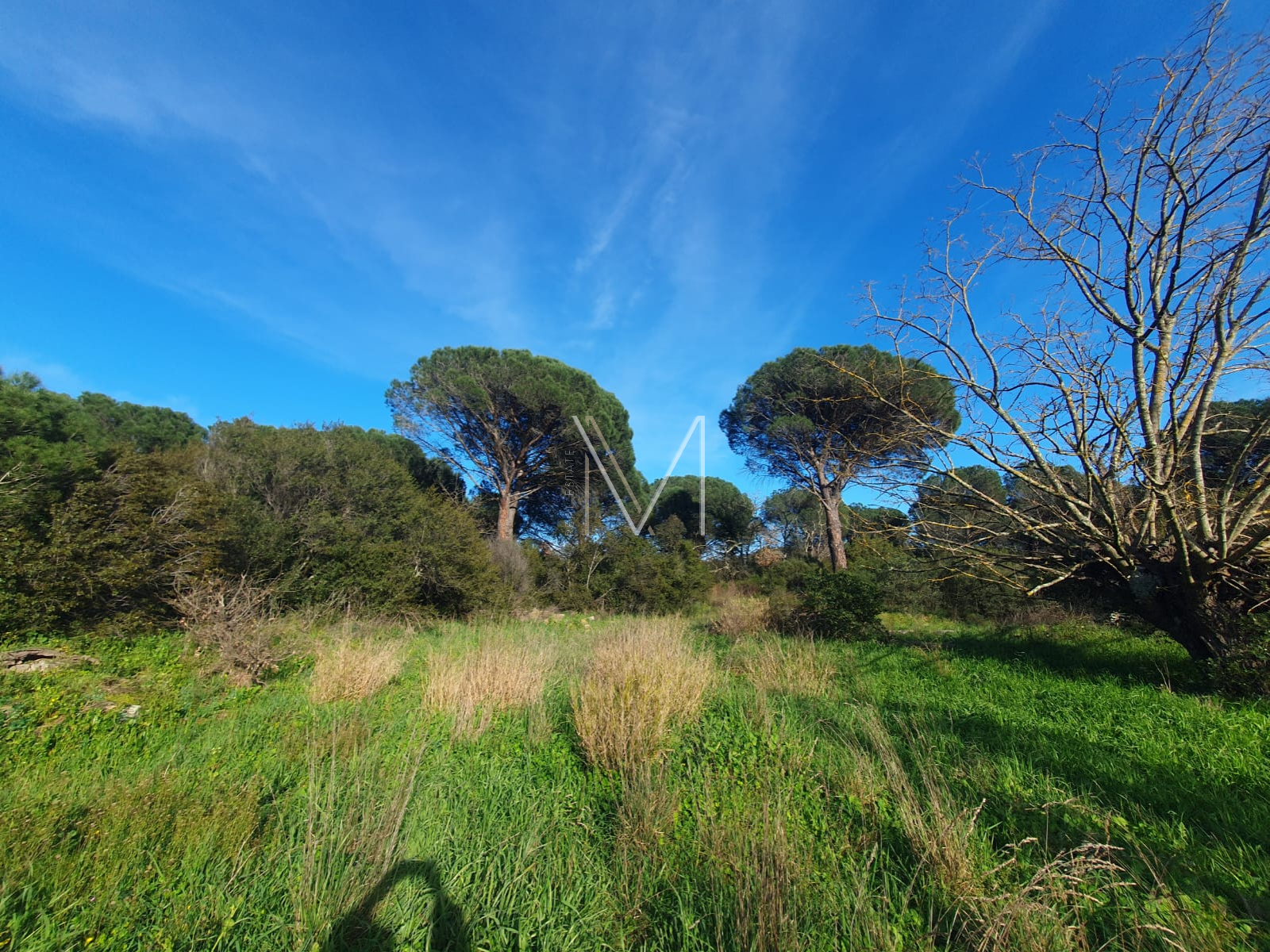 Image_2, Terrain agricole, Le Plan-de-la-Tour, ref :VTE10000664