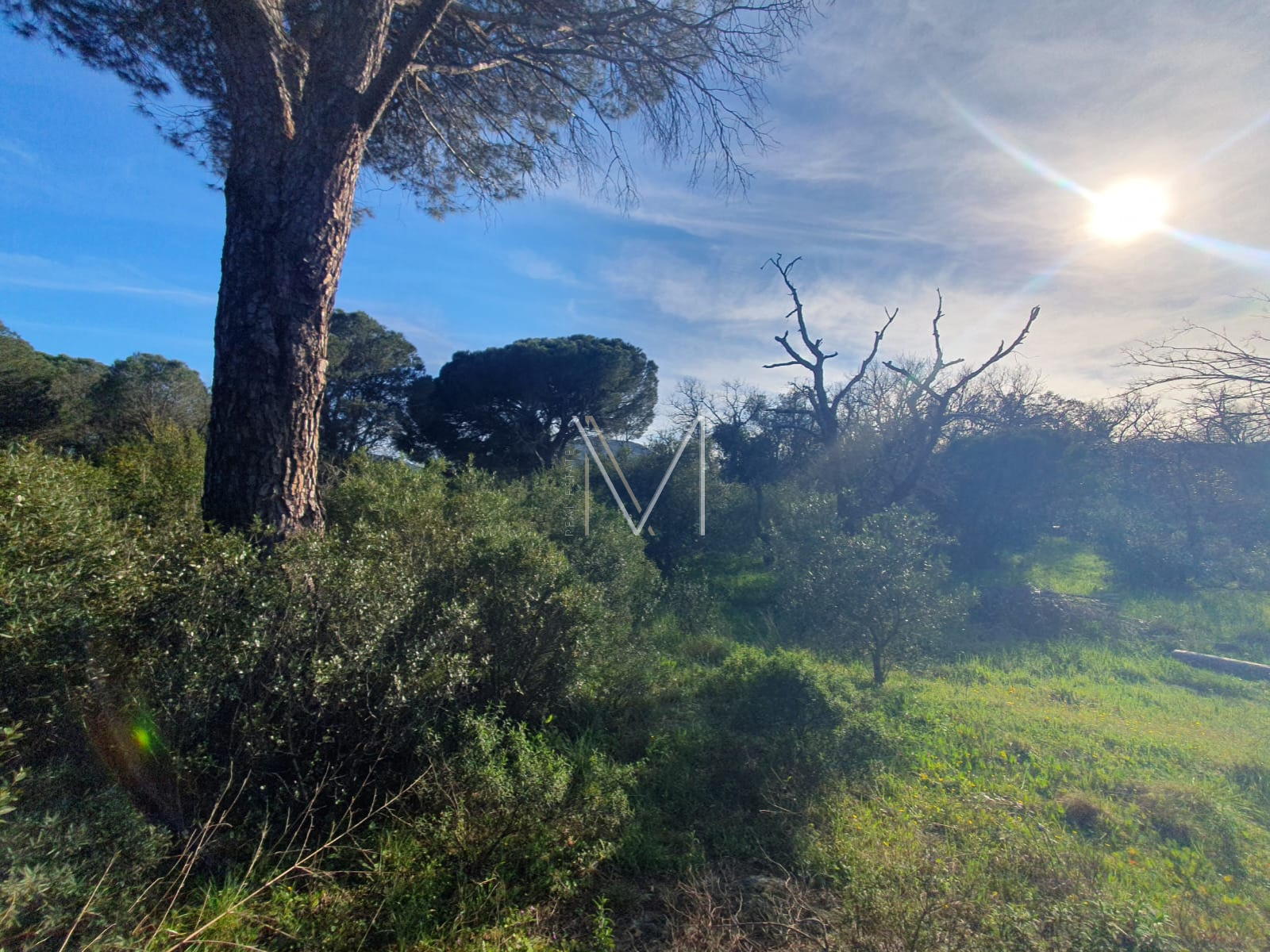 Image_4, Terrain agricole, Le Plan-de-la-Tour, ref :VTE10000664