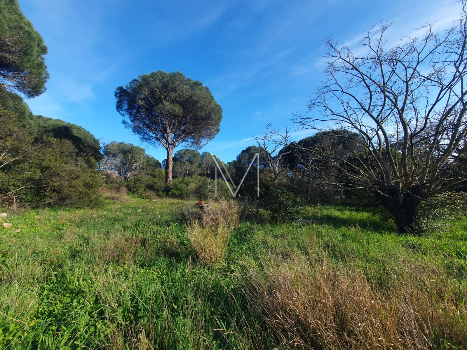 Image_1, Terrain agricole, Le Plan-de-la-Tour, ref :VTE10000664