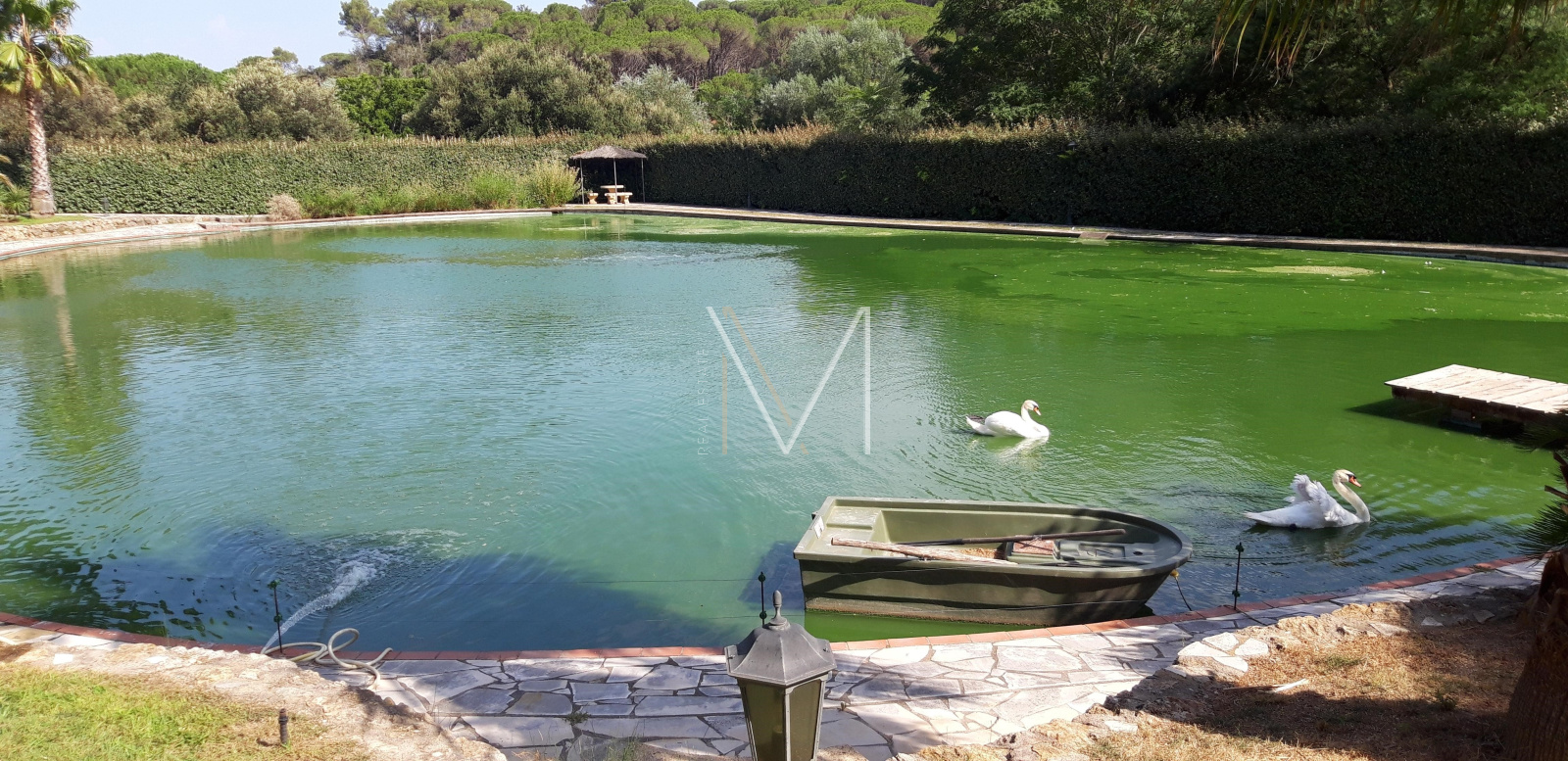 Image_25, Propriete, Le Plan-de-la-Tour, ref :VPR10000093