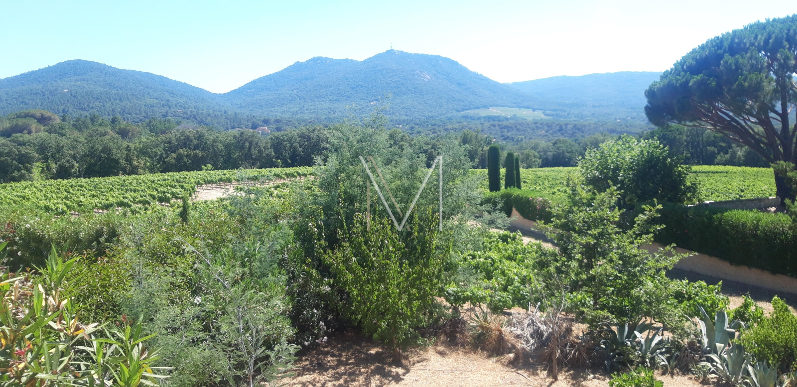 Image_6, Villa, Le Plan-de-la-Tour, ref :VVI10000010