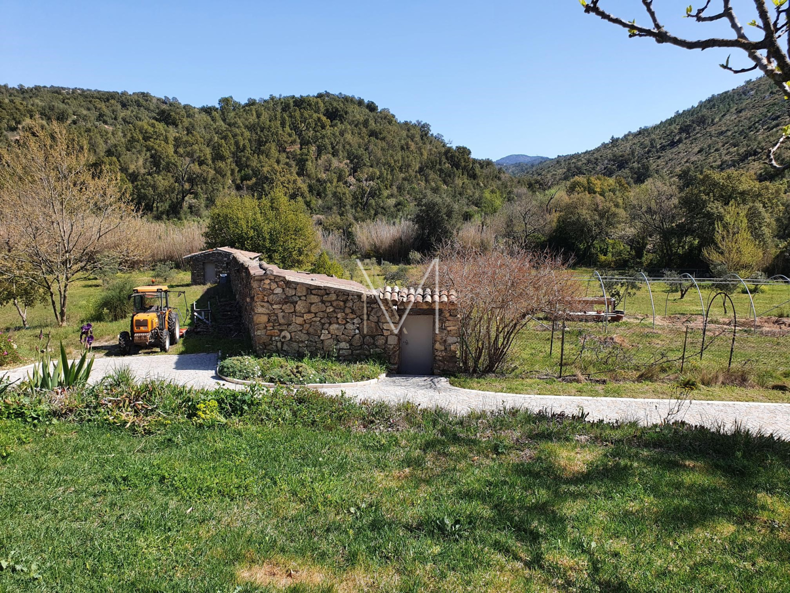 Image_4, Propriete, Le Plan-de-la-Tour, ref :VPR50000586