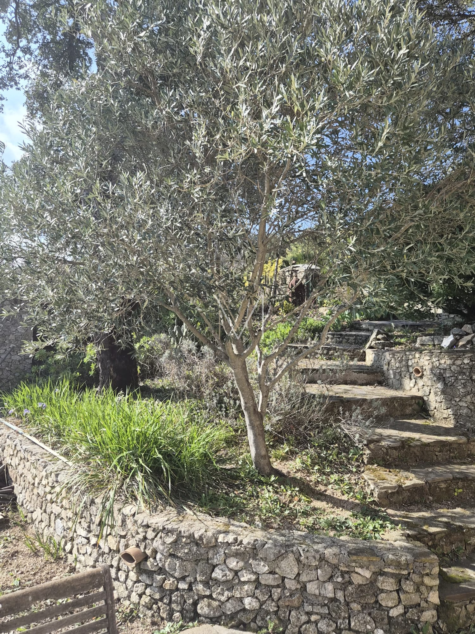 Image_22, Maison, Le Plan-de-la-Tour, ref :VMA10000798