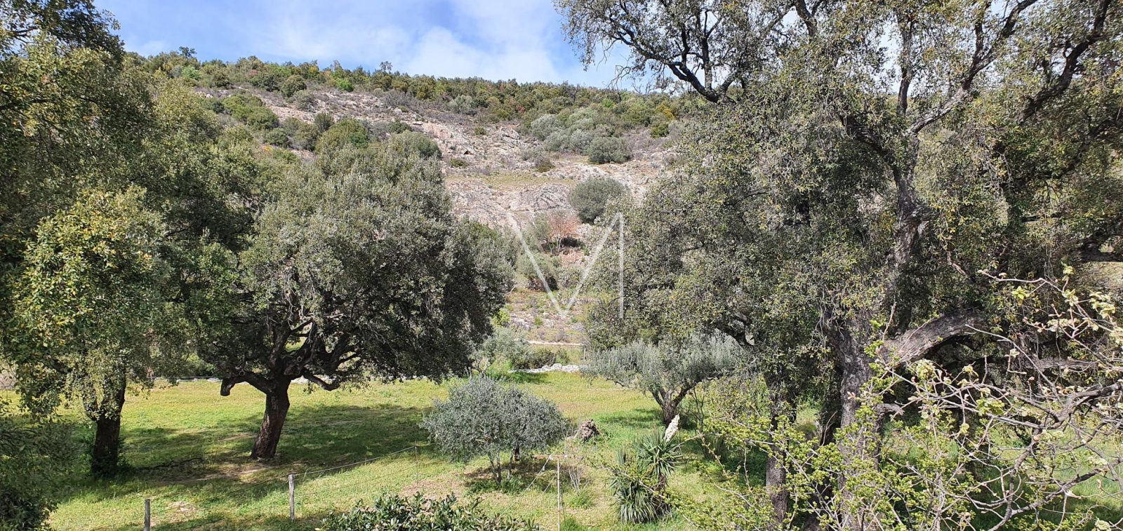 Image_2, Villa, Le Plan-de-la-Tour, ref :VVI10000465