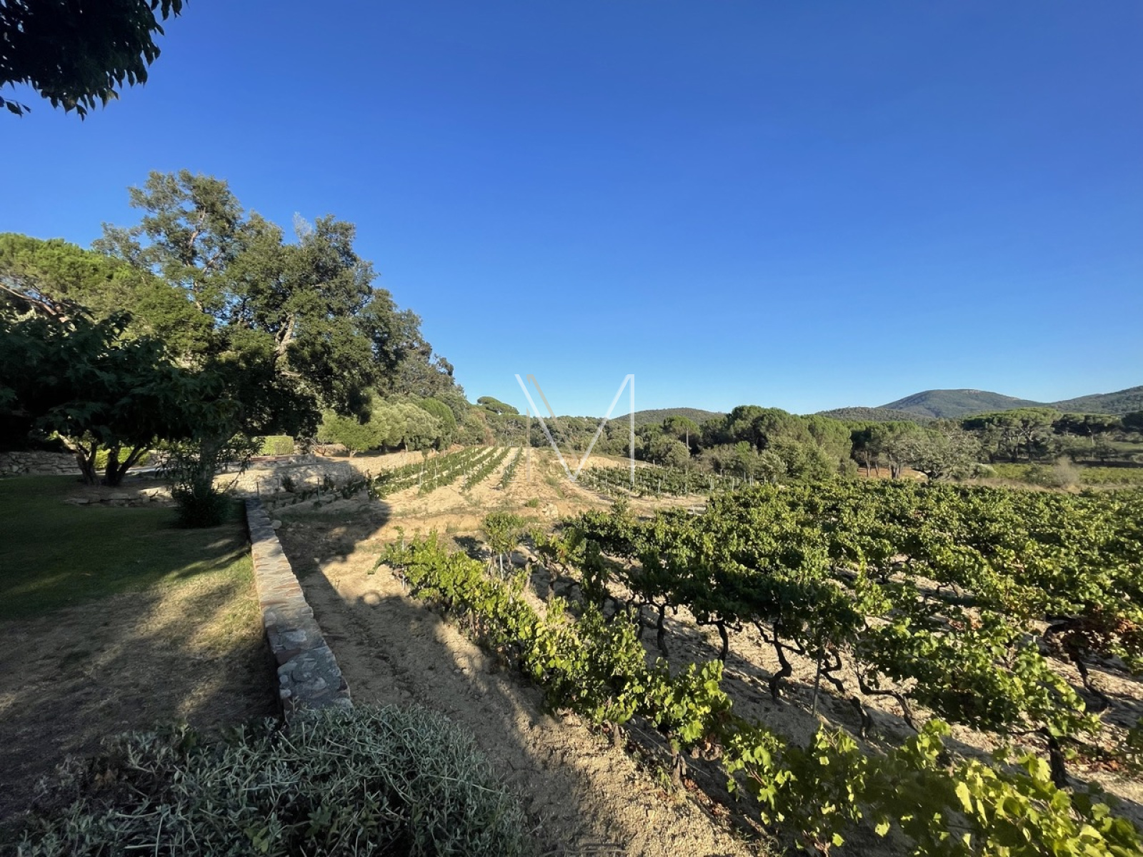 Image_4, Maison, Le Plan-de-la-Tour, ref :VMA10000679