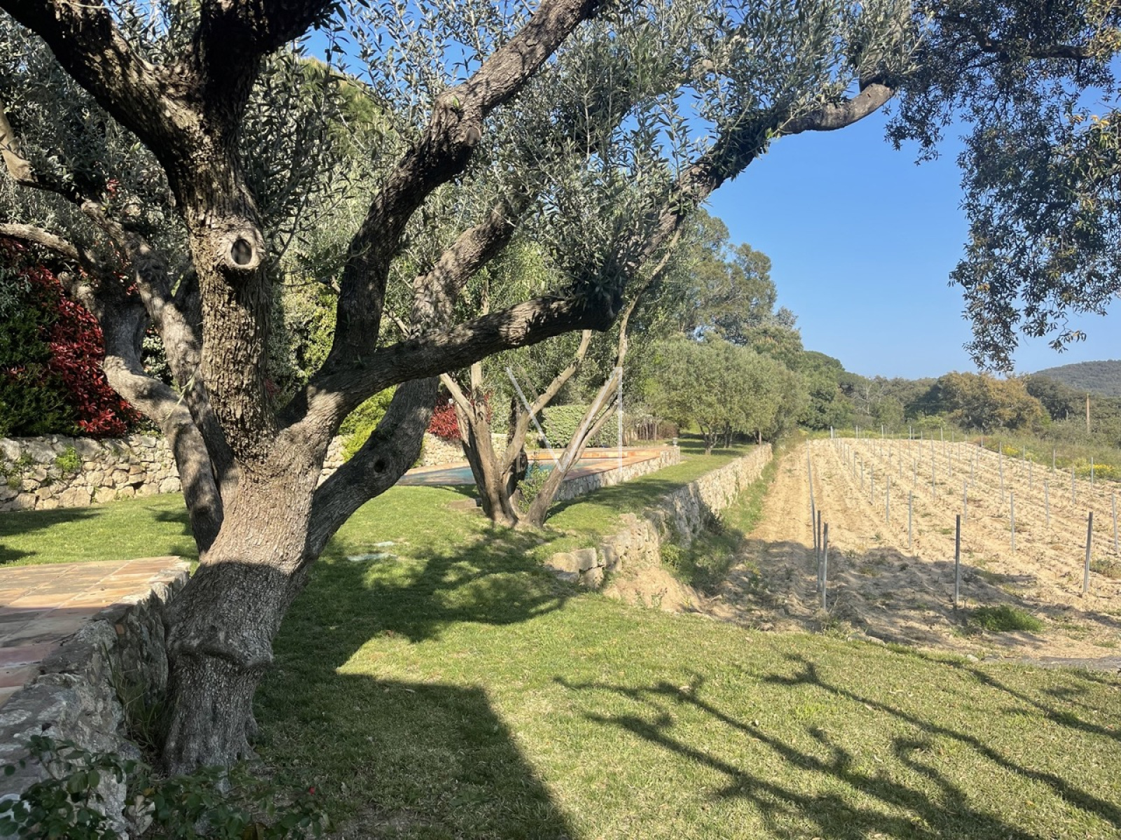 Image_9, Maison, Le Plan-de-la-Tour, ref :VMA10000679