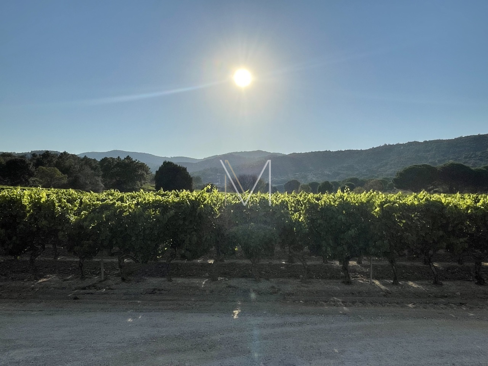 Image_9, Villa, Le Plan-de-la-Tour, ref :VVI50000592