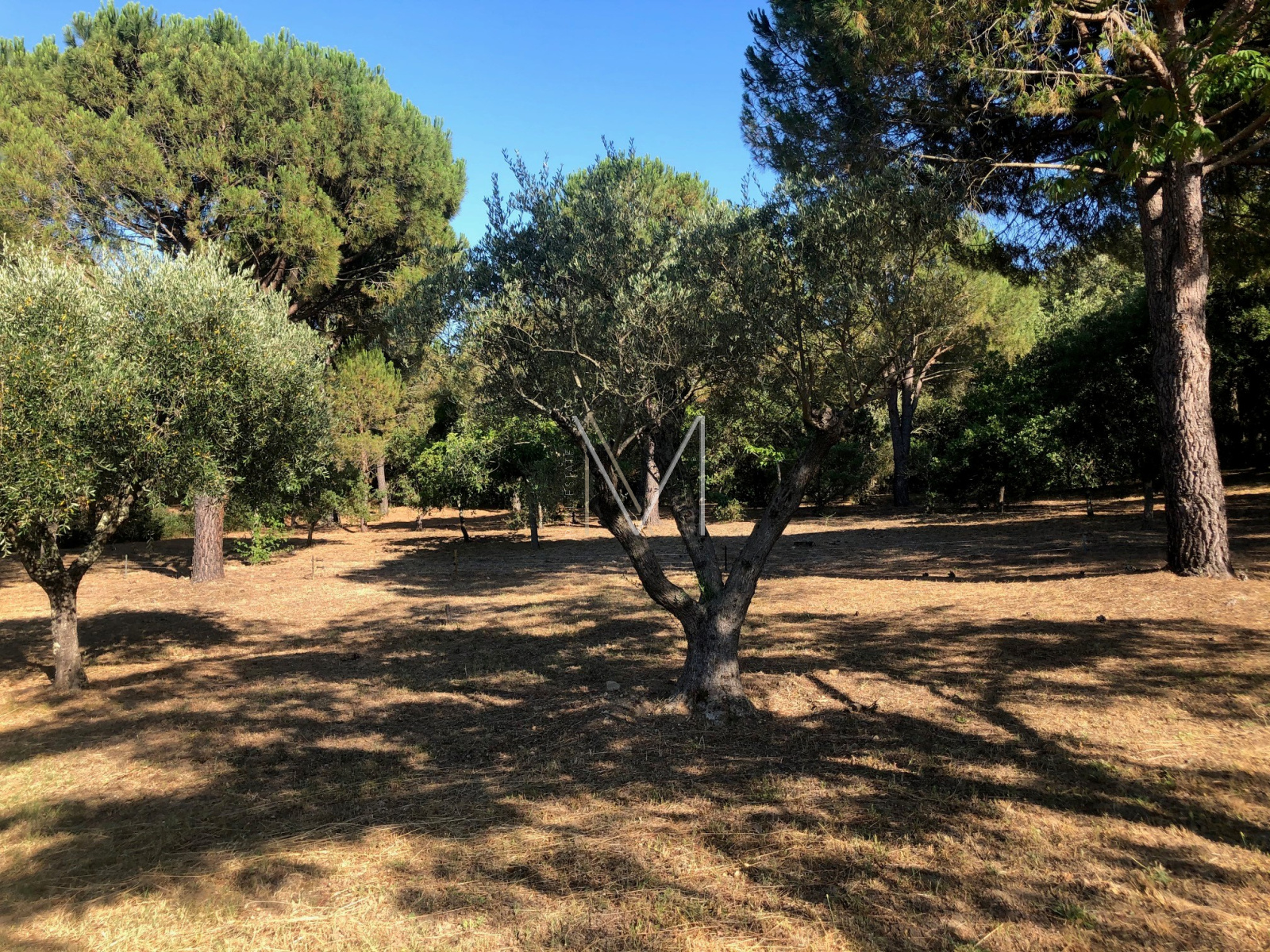 Image_2, Villa, Le Plan-de-la-Tour, ref :VVI10000072