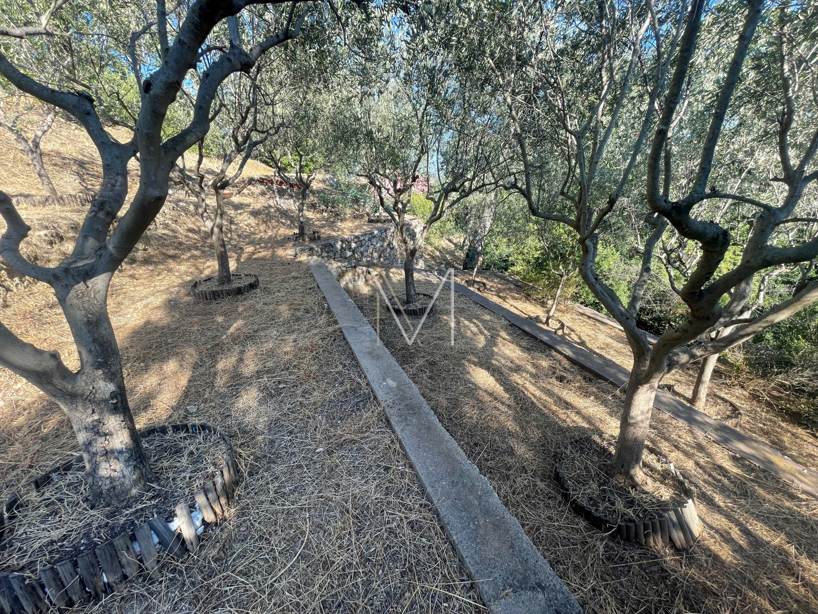 Image_8, Maison, Le Plan-de-la-Tour, ref :VMA50000602